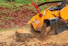 Best Firewood Processing and Delivery  in Clifton, NJ